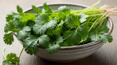 garnishing-instructions-image